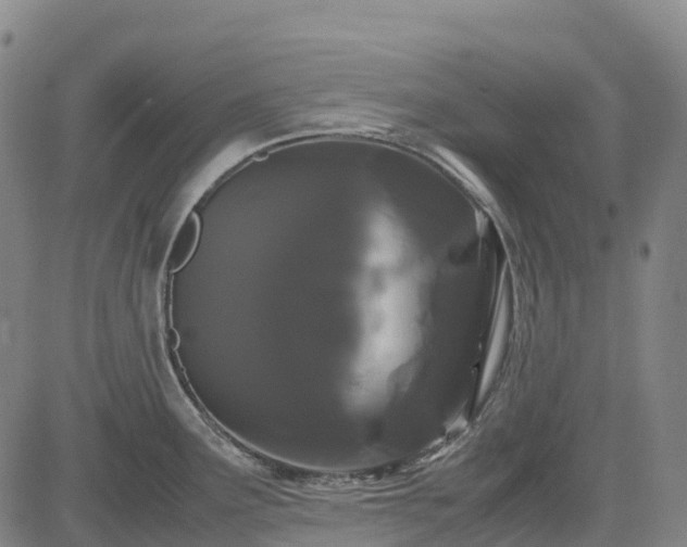 X0000085051291200703121449