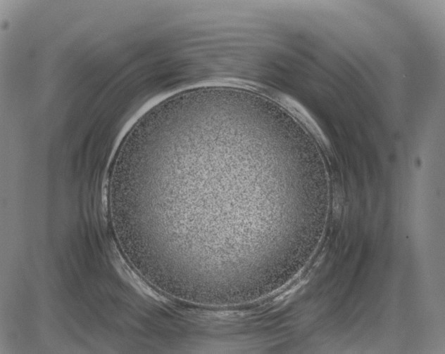 X0000085051292200703121449