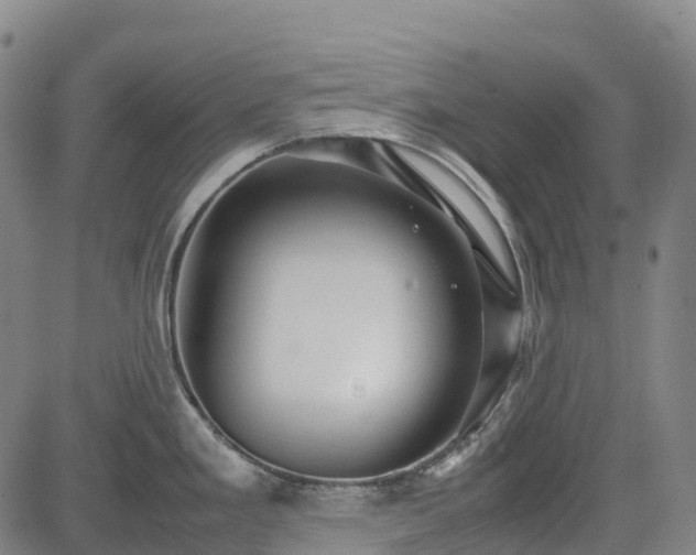 X0000085051293200703121449