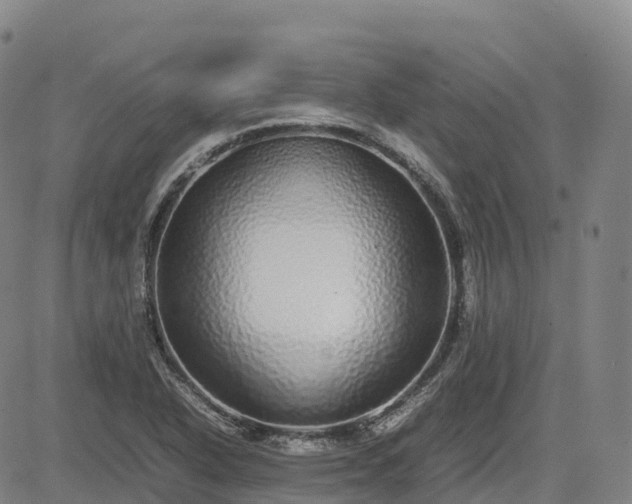 X0000085051318200703121449