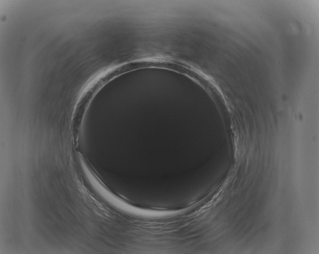X0000085051319200703121449