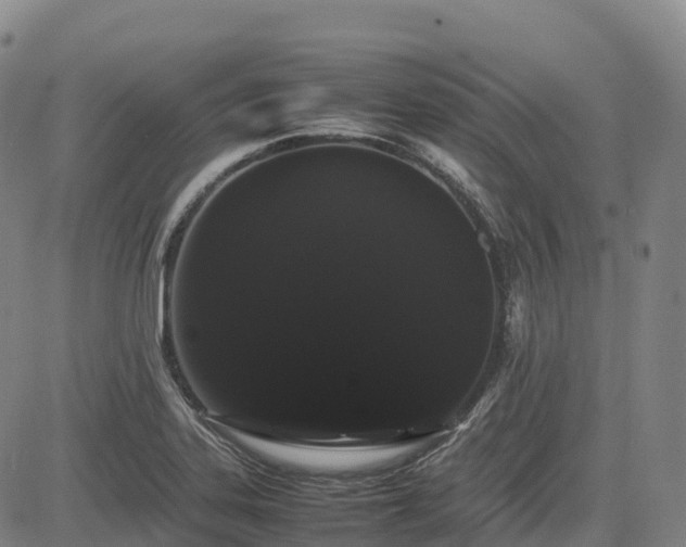 X0000085051323200703121449