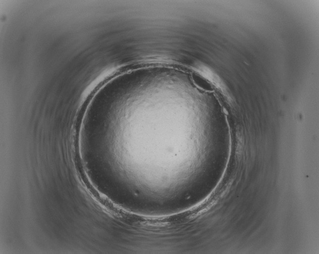 X0000085051325200703121449