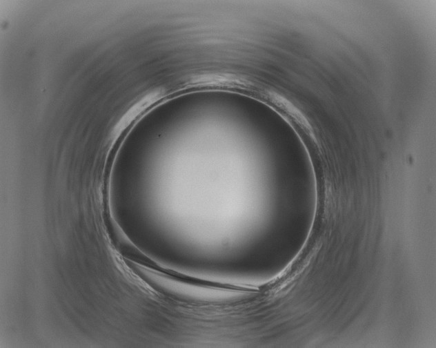 X0000085051330200703121449