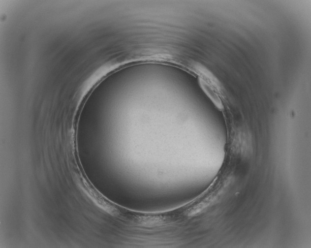 X0000085051332200703121449