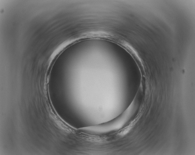 X0000085051336200703121449