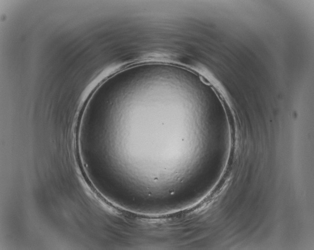 X0000085051341200703121449