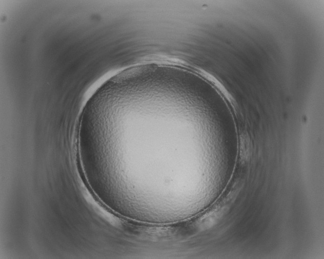 X0000085051387200703121448