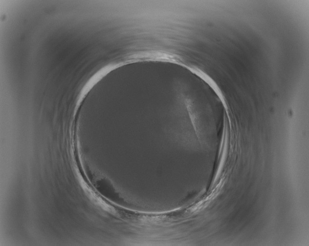 X0000085051389200703121448
