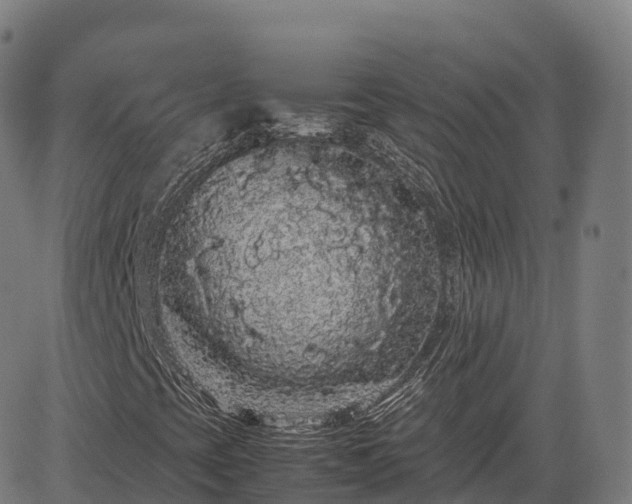 X0000085051393200703121447