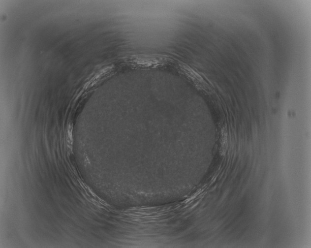 X0000085051394200703121447