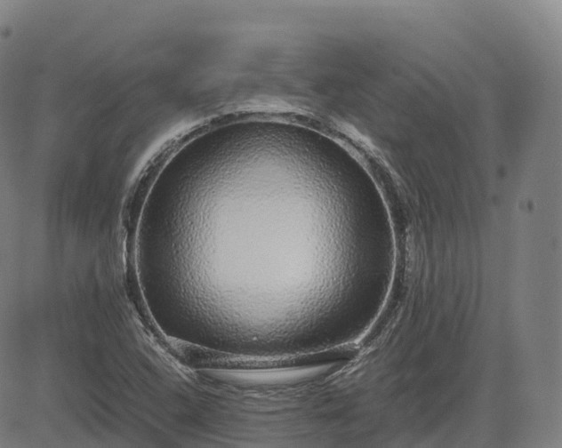 X0000085051408200703121447