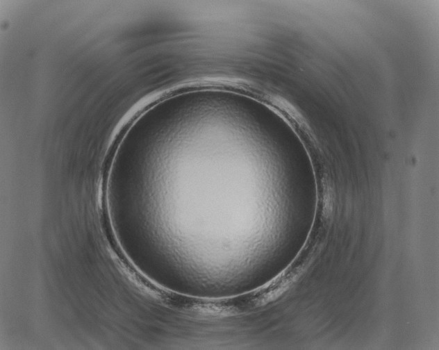 X0000085051420200703121447