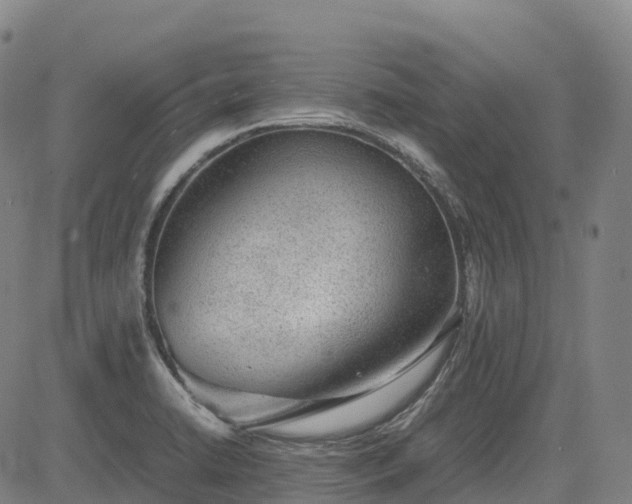 X0000085051422200703121447