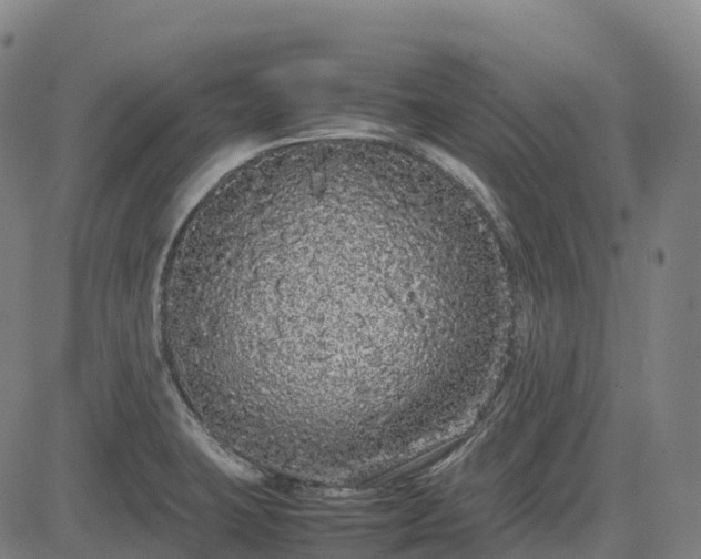 X0000085051423200703121447