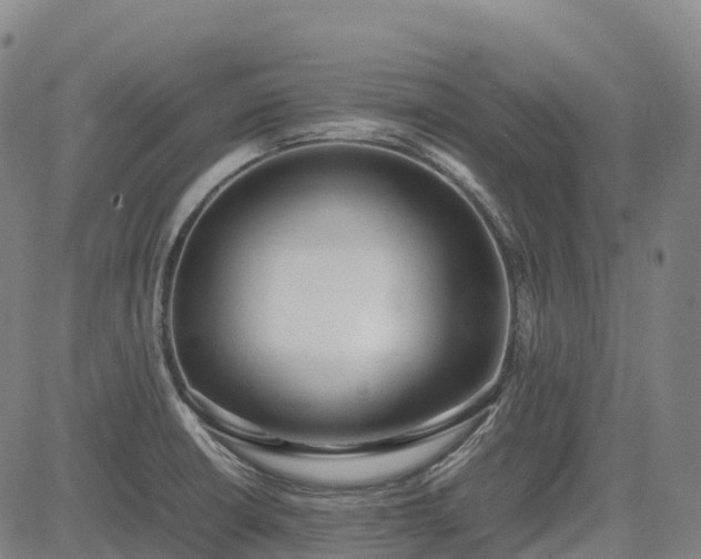 X0000085051426200703121447
