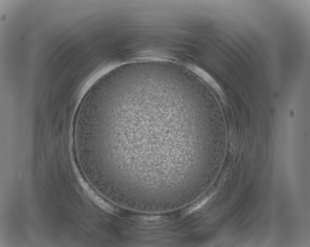 X0000085051431200703121448