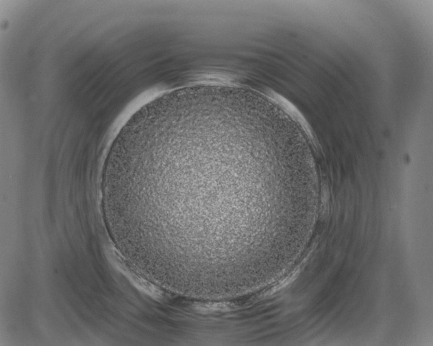 X0000085051435200703121448