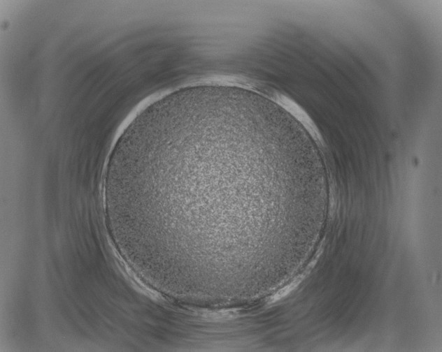 X0000085051436200703121448
