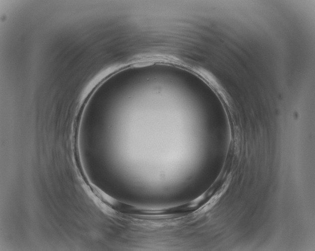 X0000085051438200703121448