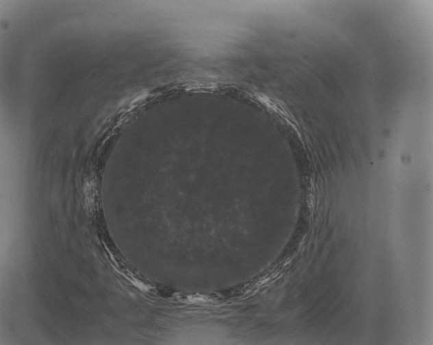 X0000085051445200703121447