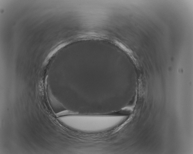 X0000085051453200703121447