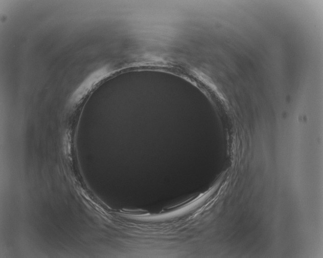 X0000085051455200703121447