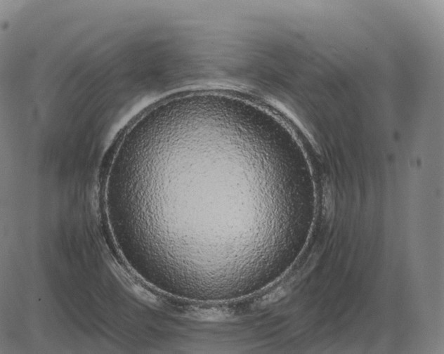 X0000085051460200703121447