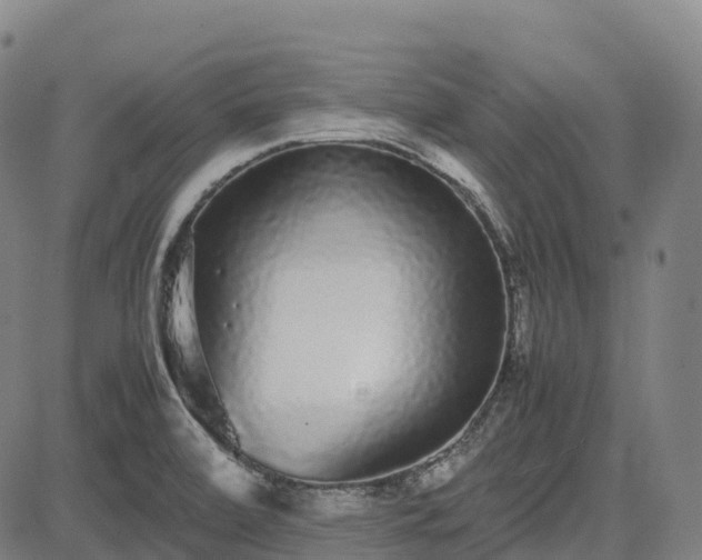 X0000085051472200703121446