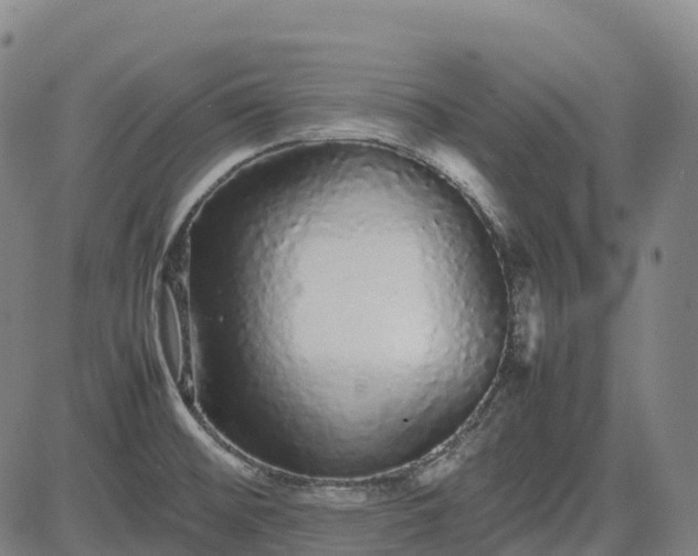 X0000085051476200703121446