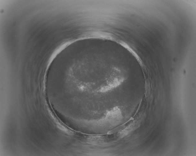 X0000085051477200703121446