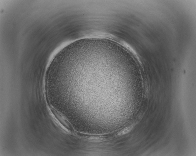 X0000085051480200703121446