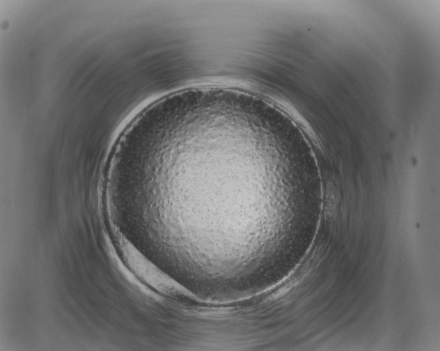 X0000085051484200703121446