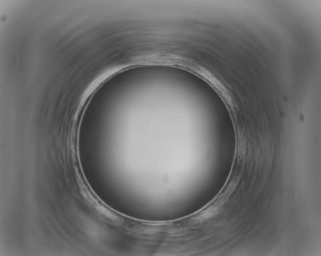 X0000085051486200703121446