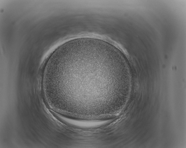 X0000085051504200703121446