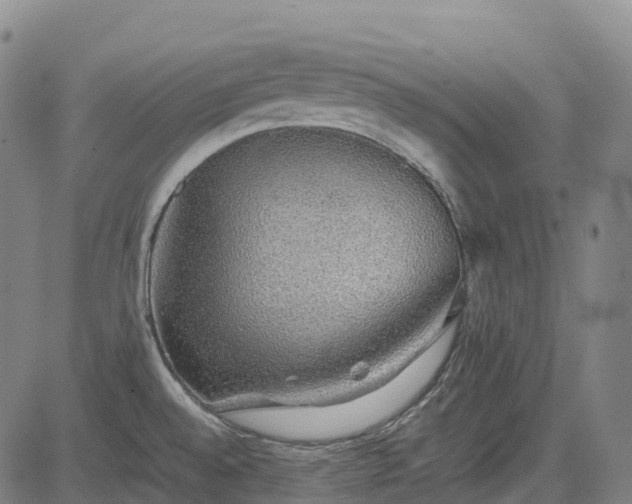 X0000085051528200703121446