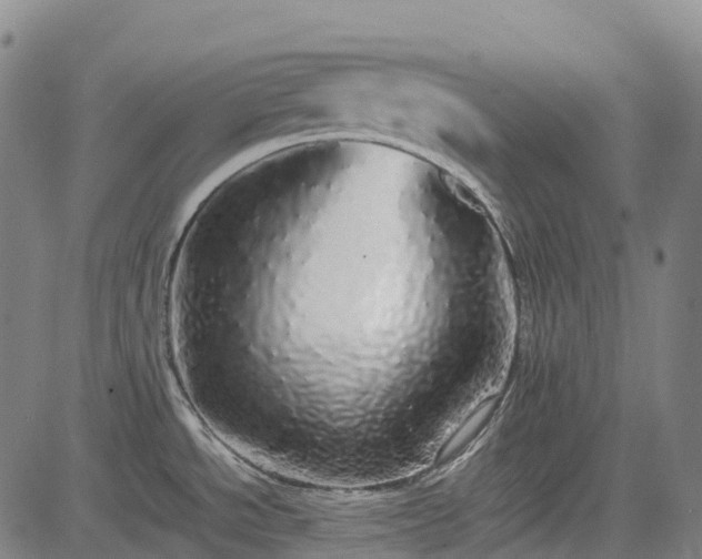 X0000085051534200703121446