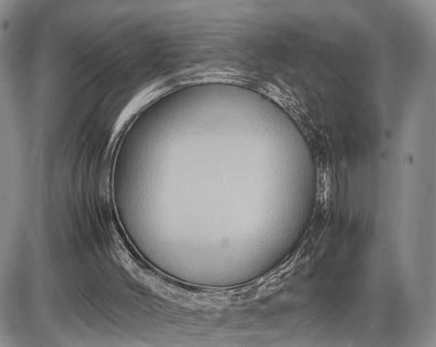 X0000085050004200703191311