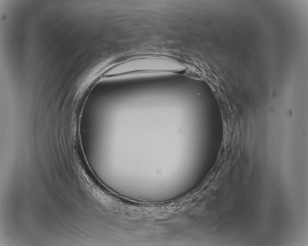 X0000085050005200703191311