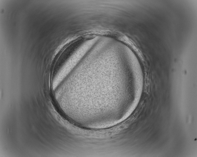 X0000085050011200703191311
