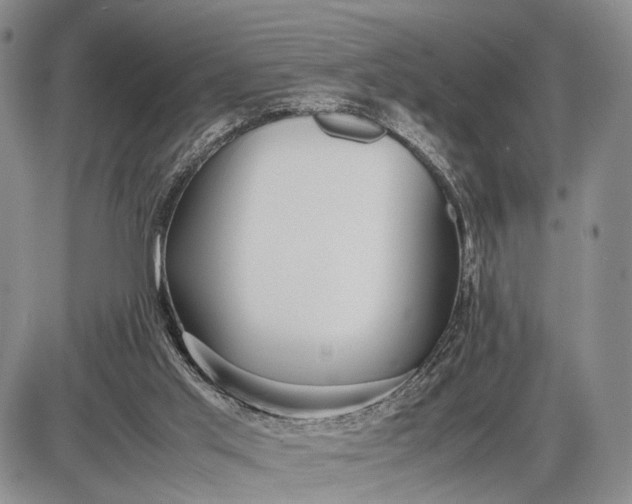 X0000085050013200703191311