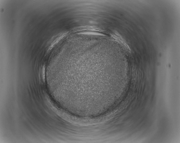 X0000085050014200703191311