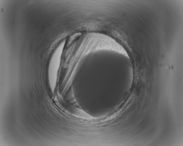 X0000085050019200703191310