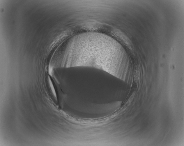 X0000085050023200703191310