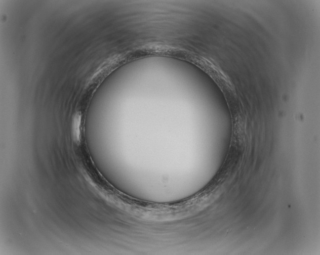 X0000085050024200703191310