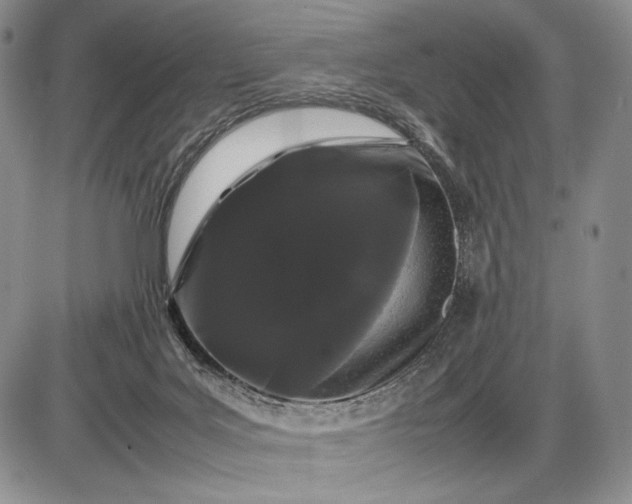 X0000085050027200703191310