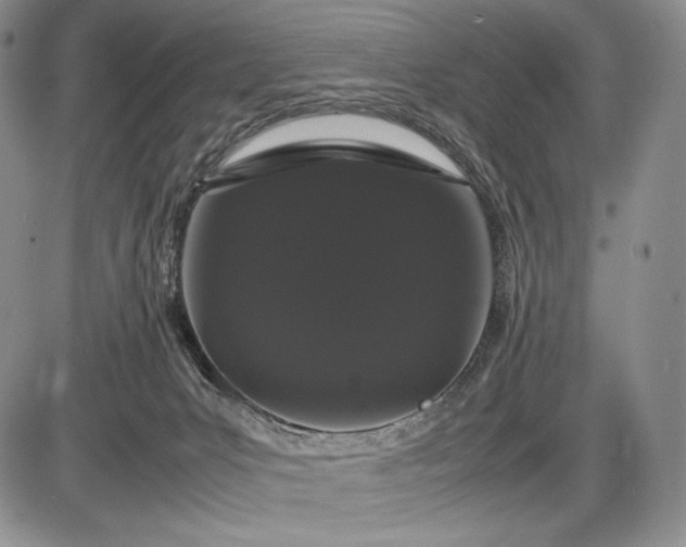 X0000085050031200703191310
