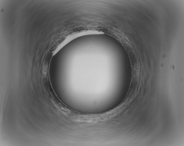 X0000085050033200703191310
