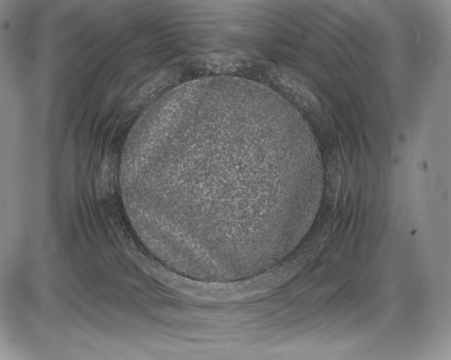 X0000085050034200703191310