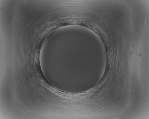 X0000085050035200703191310